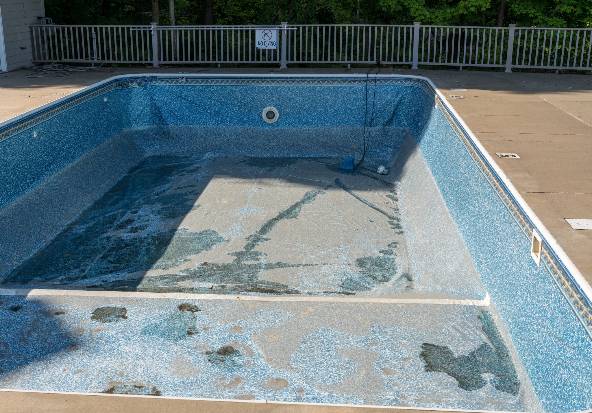 algae in pool after winter